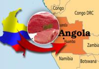 Colombia conquistó con su carne el mercado del país africano desde 2012. Foto: CONtexto ganadero.