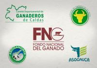 Las entidades regionales lamentaron la decisión adoptada con el FNG. Foto: CONtexto ganadero.