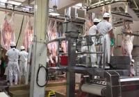 En el tercer trimestre se sacrificaron 21 cabezas más que en el mismo periodo del año anterior. Foto: CONtexto ganadero.