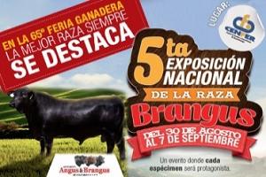 La entrada antes de las 6:00 pm tiene un costo de $15 mil, después sube a $20 mil por persona. Foto: Asociación Angus & Brangus. La entrada antes de las 6:00 pm tiene un costo de $15 mil, después sube a $20 mil por persona. Foto: Asociación Angus & Brangus.
